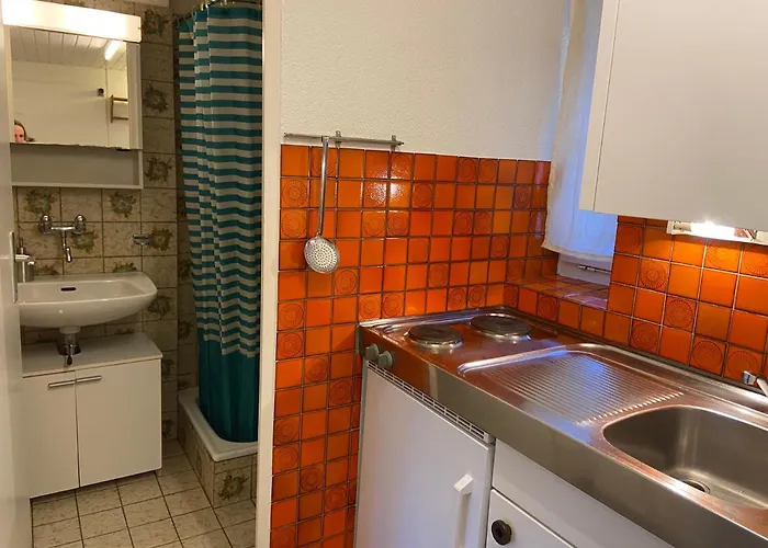 Studio Centre Apartament Lozanna